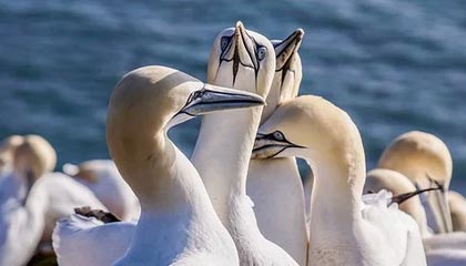 开云体育客服-KPL选手转会合同细节披露，kpl选手转会价格