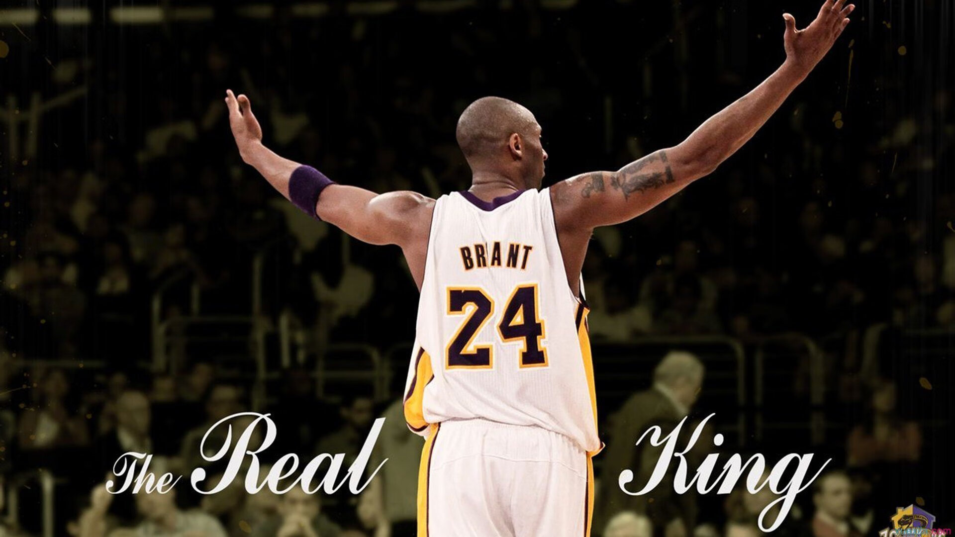 开云体育登陆入口-普拉提行业进入快速发展阶段，市场需求持续增长，2020普拉提行业前景分析